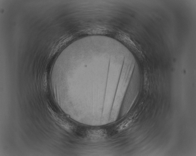 X0000062600202200601110951