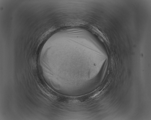 X0000062600203200601110951