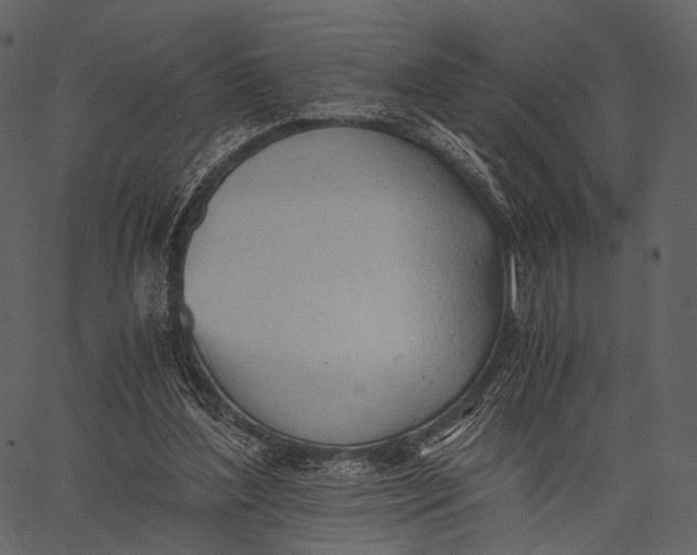 X0000062600204200601110951