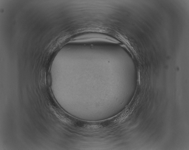 X0000062600205200601110951
