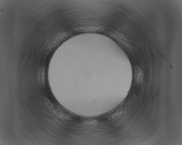 X0000062600206200601110951