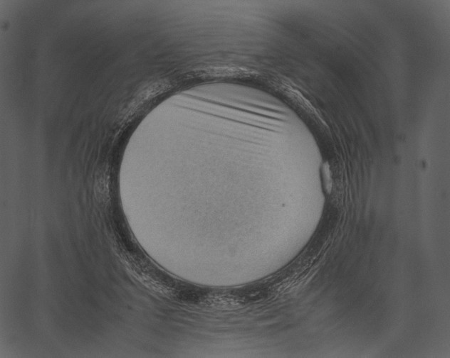 X0000062600207200601110951