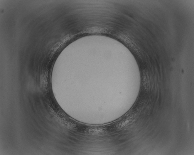 X0000062600208200601110951