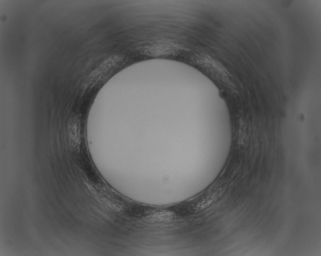X0000062600210200601110951