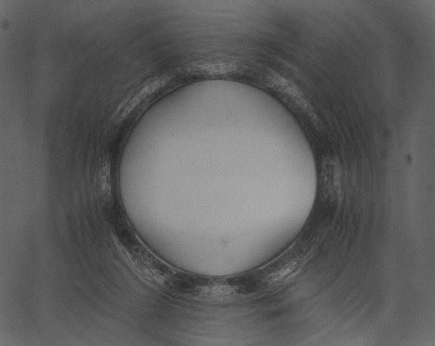 X0000062600212200601110951
