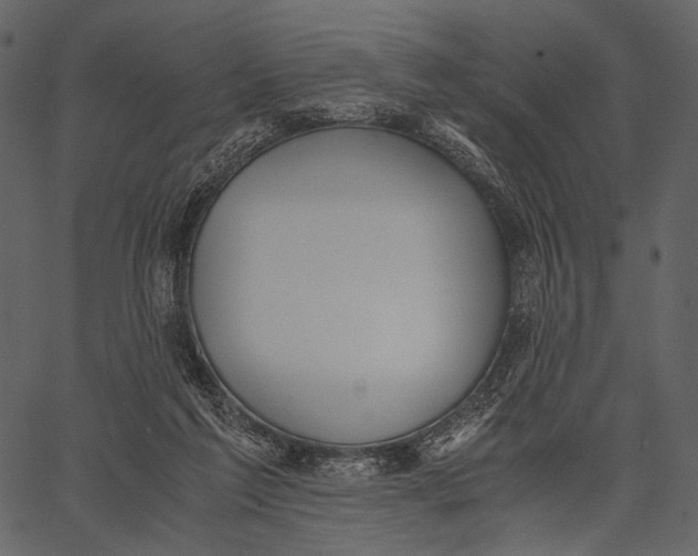 X0000062600213200601110951