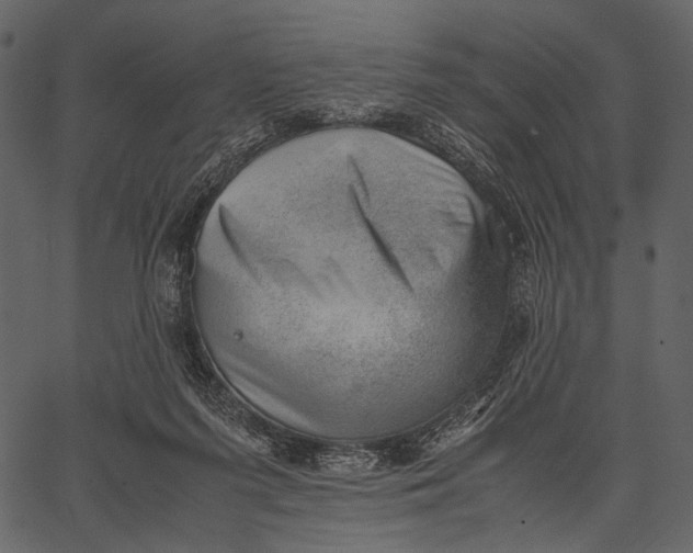 X0000062600215200601110951