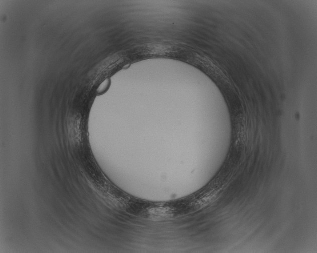 X0000062600216200601110951