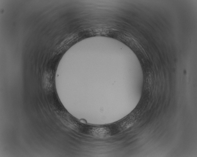 X0000062600218200601110951