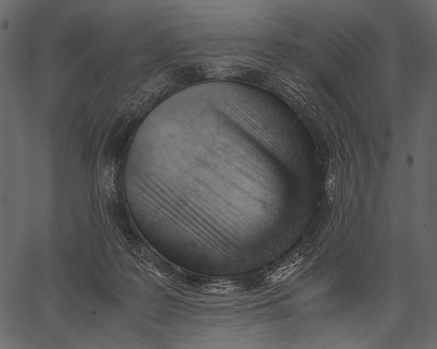X0000062600219200601110951