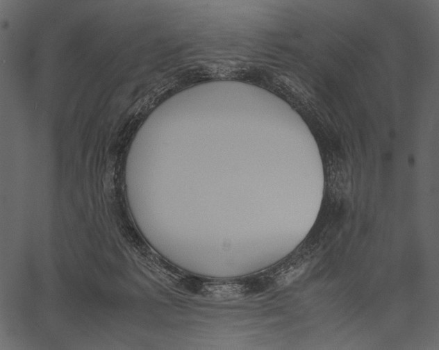 X0000062600221200601110951