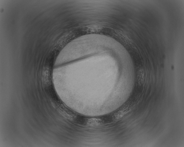 X0000062600222200601110951