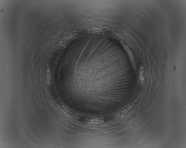 X0000062600223200601110951