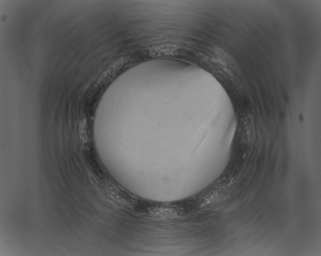 X0000062600224200601110951