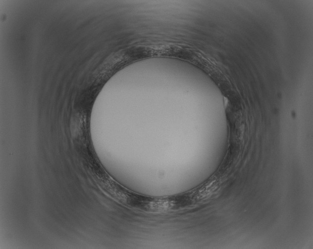 X0000062600225200601110951