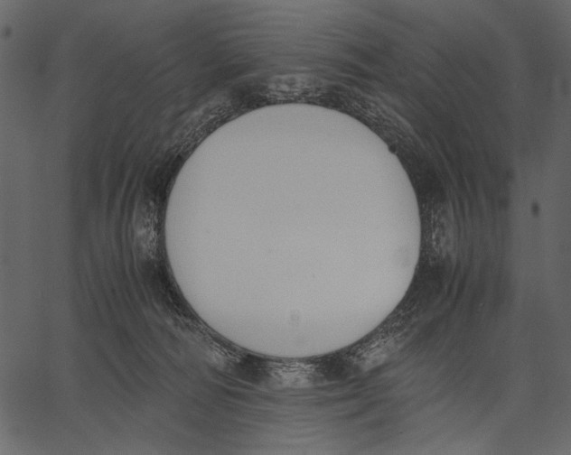X0000062600226200601110951