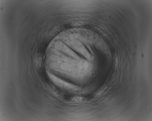 X0000062600227200601110951