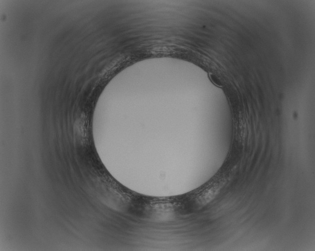 X0000062600228200601110951