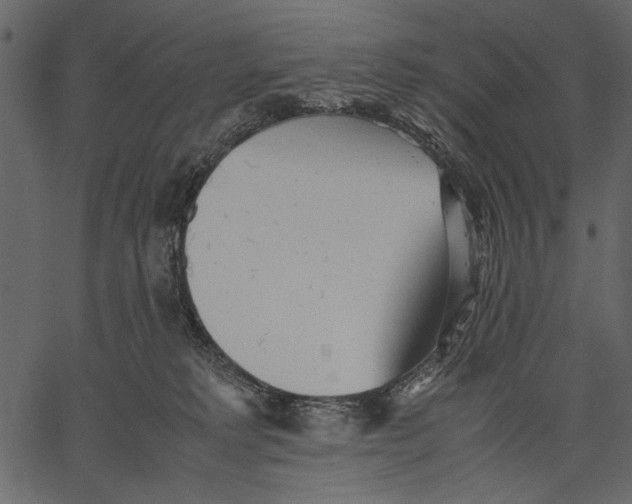 X0000062600229200601110951