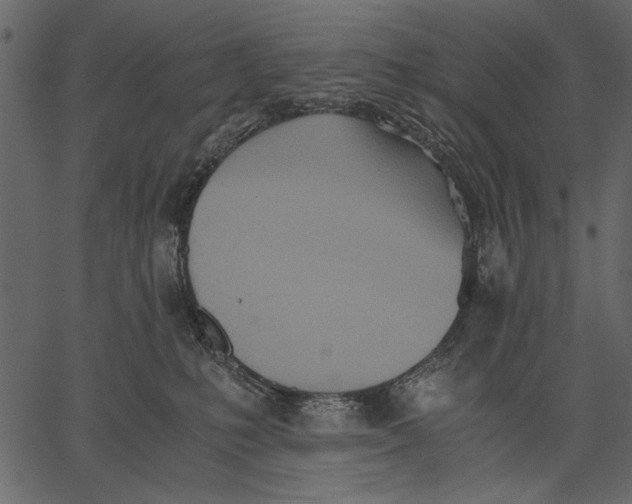 X0000062600231200601110951