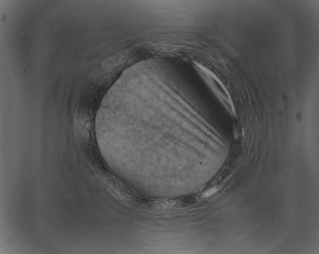X0000062600235200601110951