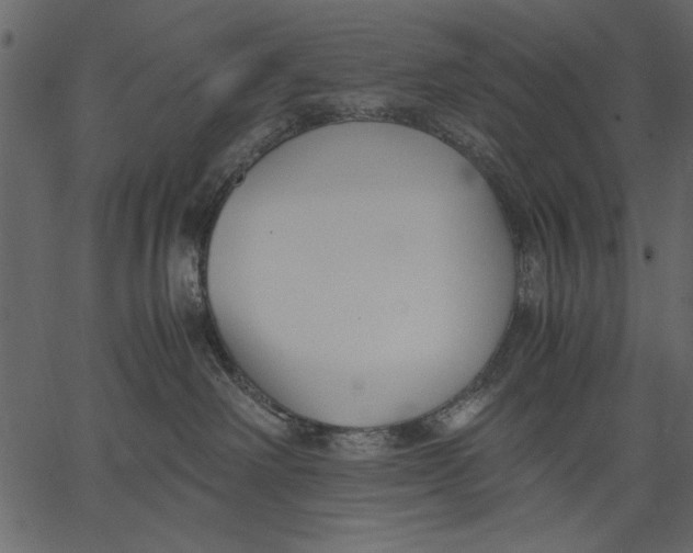 X0000062600238200601110951