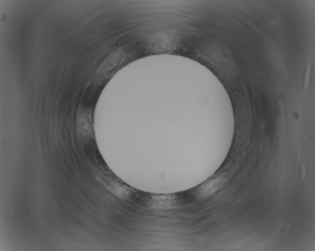 X0000062600240200601110950