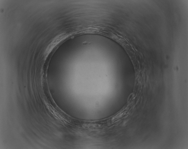 X0000062600242200601110950