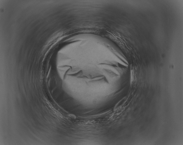 X0000062600243200601110950