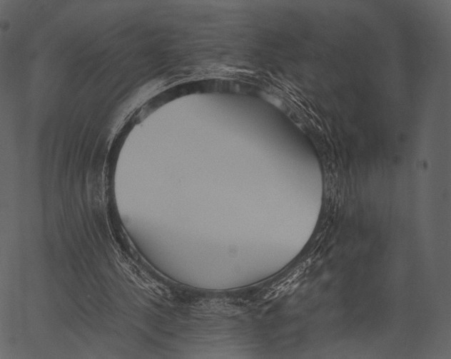 X0000062600244200601110950