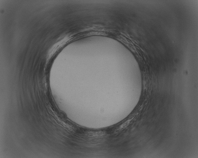 X0000062600245200601110950