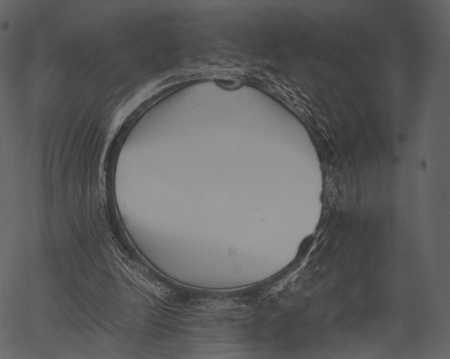 X0000062600246200601110950