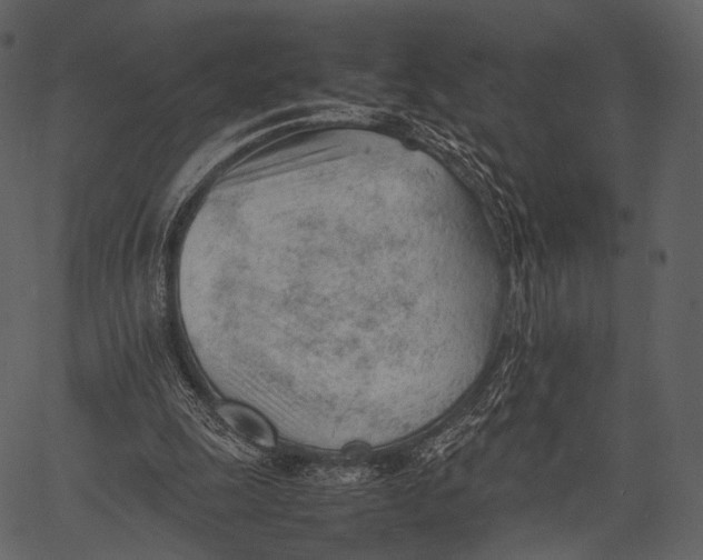 X0000062600247200601110950