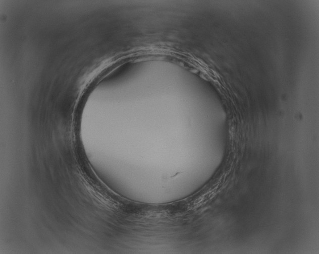 X0000062600248200601110950