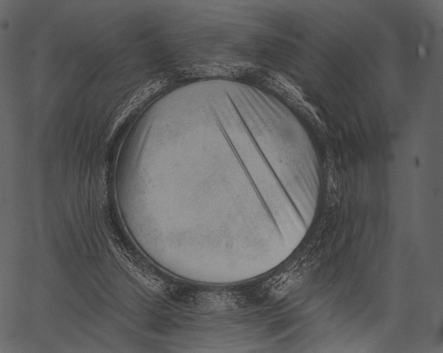 X0000062600250200601110950
