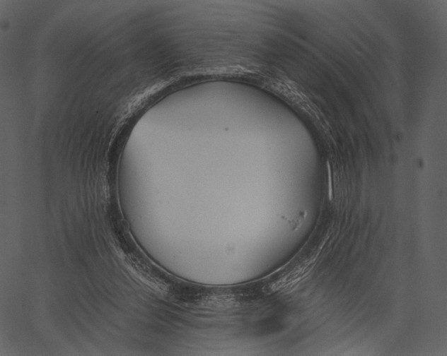 X0000062600252200601110950