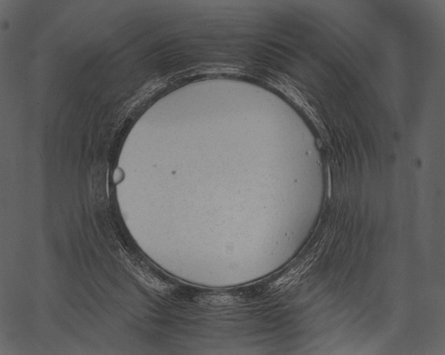 X0000062600253200601110950
