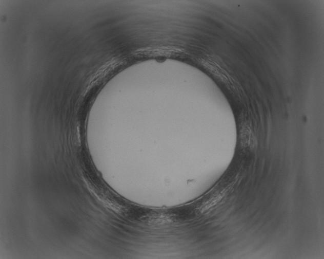 X0000062600254200601110950