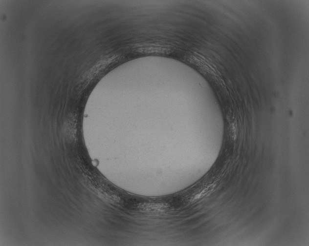 X0000062600255200601110950