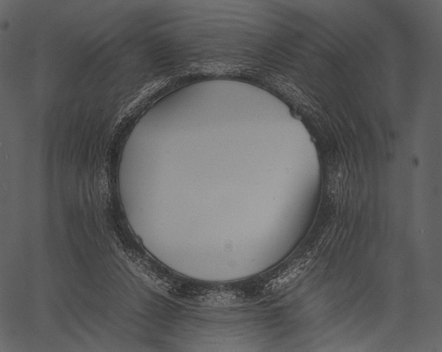 X0000062600256200601110950
