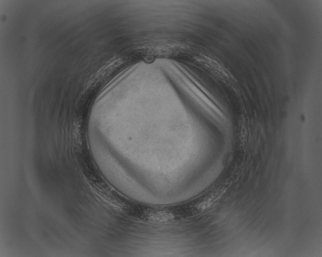 X0000062600258200601110950