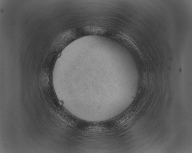 X0000062600259200601110950