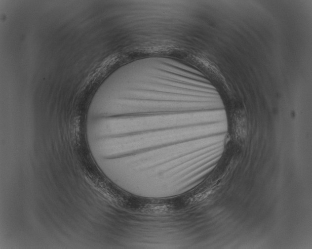 X0000062600260200601110950