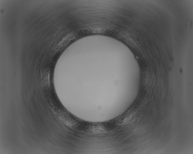 X0000062600262200601110950