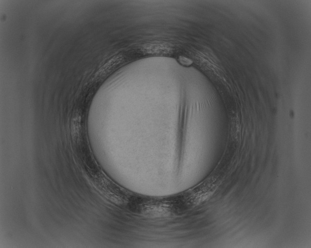 X0000062600263200601110950