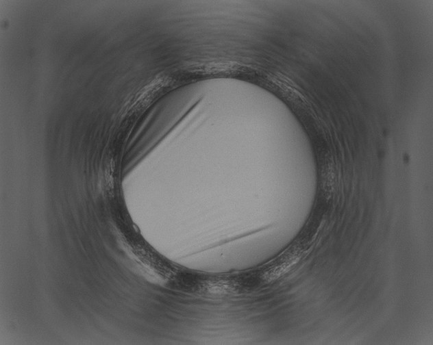 X0000062600264200601110950