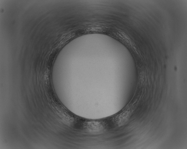 X0000062600265200601110950