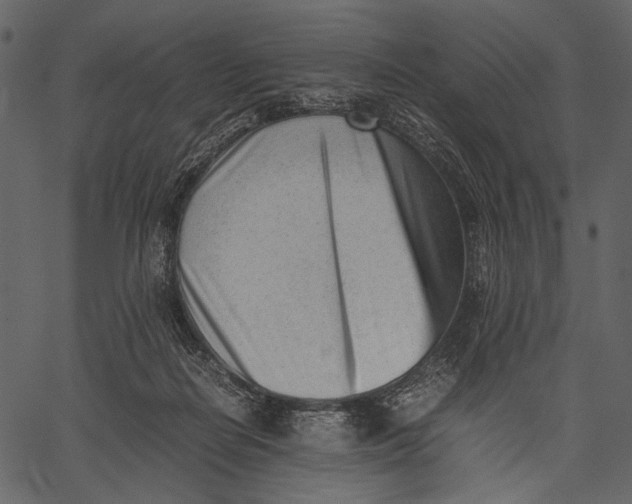 X0000062600266200601110950