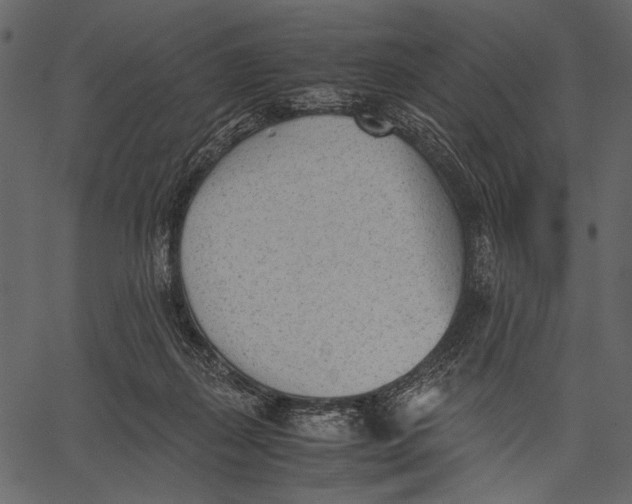 X0000062600267200601110950