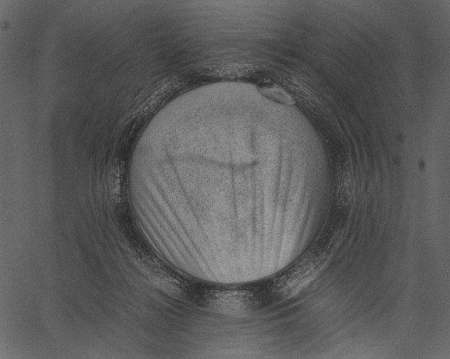 X0000062600268200601110950